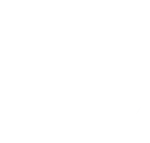 International Consulting Group